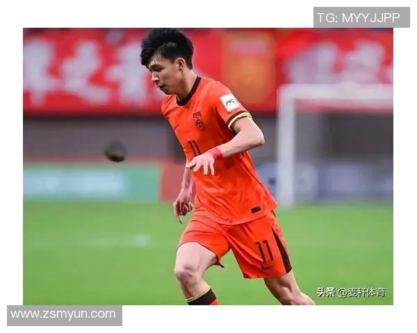 中国足球明星待遇现状分析与未来发展趋势探讨