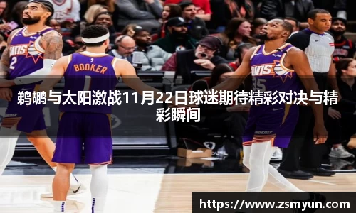 鹈鹕与太阳激战11月22日球迷期待精彩对决与精彩瞬间