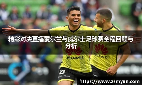 精彩对决直播爱尔兰与威尔士足球赛全程回顾与分析