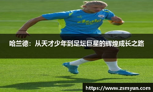 K1体育十年品牌 值得信赖